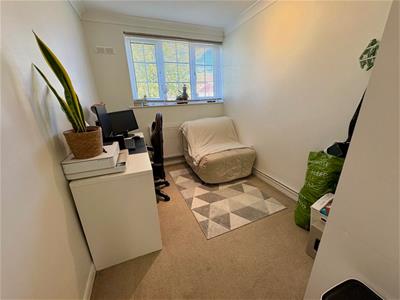 Picture 9